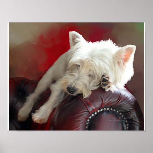 Rustende Westie Poster (Voorkant)