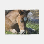 Rustende Wilde Pony Fleece Deken (Voorkant (Horizontaal))