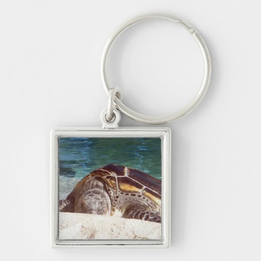 Rustende Zeeen schildpad Sleutelhanger (Voorkant)