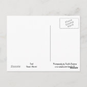 Rustende zeeleeuw briefkaart (Achterkant)