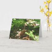 rustfawn kaart (Gele Bloem)