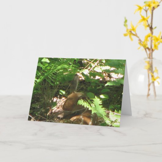 rustfawn kaart (Gele Bloem)