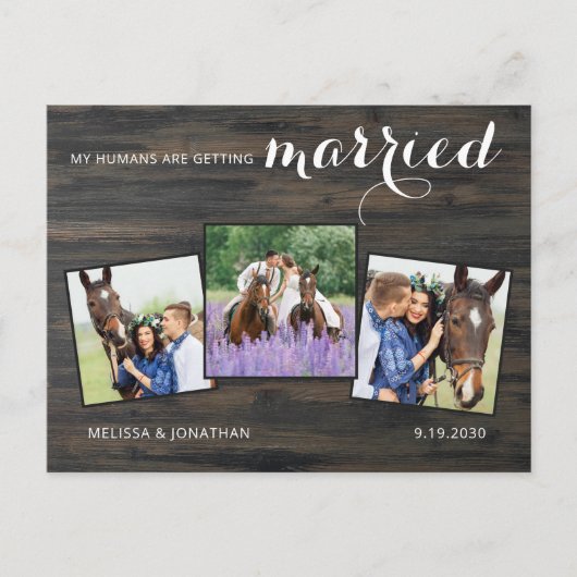 Rustic 3 Pet Weddenschap met foto's paardenweddens Aankondigingskaart (Voorkant)