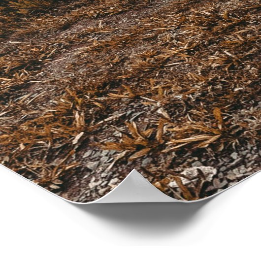 Rustic Autumn Canoe // Dusk Lit Grey Poster (Hoek)