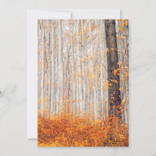 Rustic Autumn Fall Leaves Wedding Kaart (Achterkant)