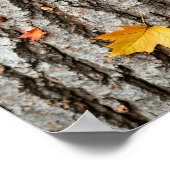 Rustic Autumn Leaves Fall Colors Tree Bark Poster (Hoek)