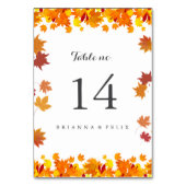 Rustic Autumn Leaves Wedding Table Number Card Kaart (Achterkant)