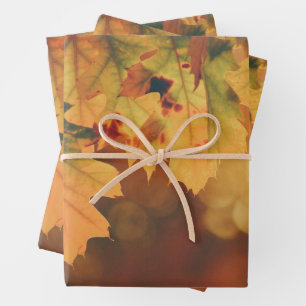 Rustic Autumn leest papierbladen met vulling Inpakpapier Vel