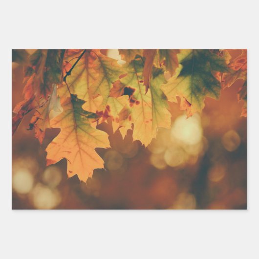 Rustic Autumn leest papierbladen met vulling Inpakpapier Vel (Voorkant)