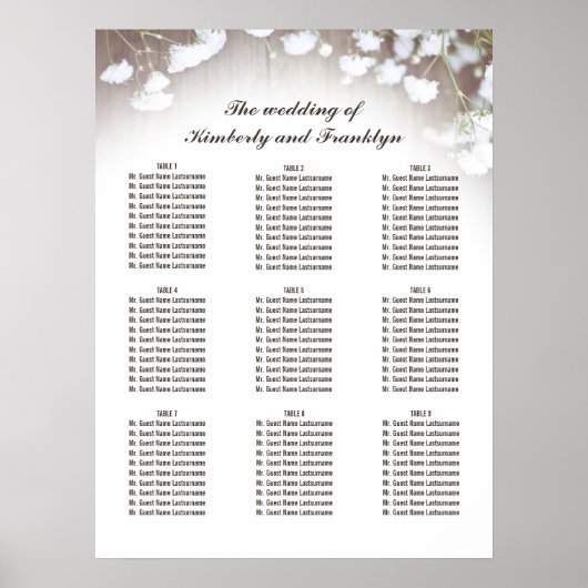 Rustic Baby's Breath Country Wedding Seating Chart Poster (Voorkant)
