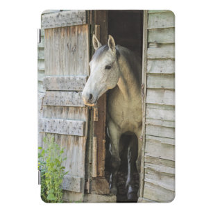 Rustic Barn + een prachtig paard iPad Pro Cover