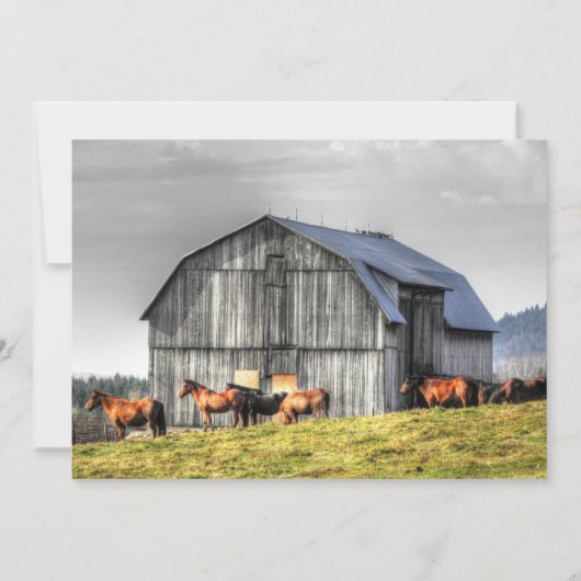 Rustic Barn en paarden sparen de Datum Weddenschap Kaart (Achterkant)