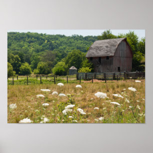 Rustic Barn en Queen Anne's Lace Poster