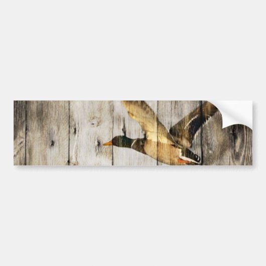 Rustic Barn wood Western Land dat Wilde Duck vlieg Bumpersticker (Voorkant)