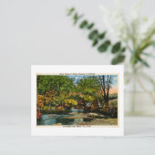 Rustic Beauty is Sublime Greetings Boyne City, MI Briefkaart (Staand voorkant)