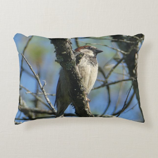 Rustic Bird in het Sierkussen Accent Kussen (Voorkant)