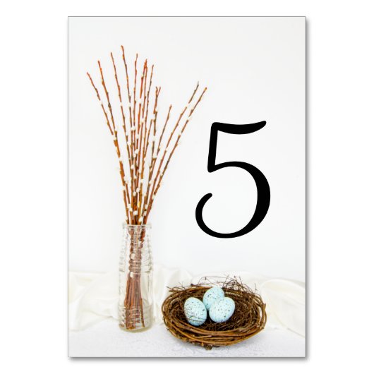 Rustic Bird Nest Eggs and Pussy Willows Wedding Kaart (Achterkant)