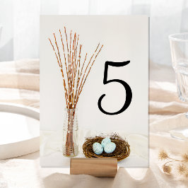 Rustic Bird Nest Eggs and Pussy Willows Wedding Kaart
