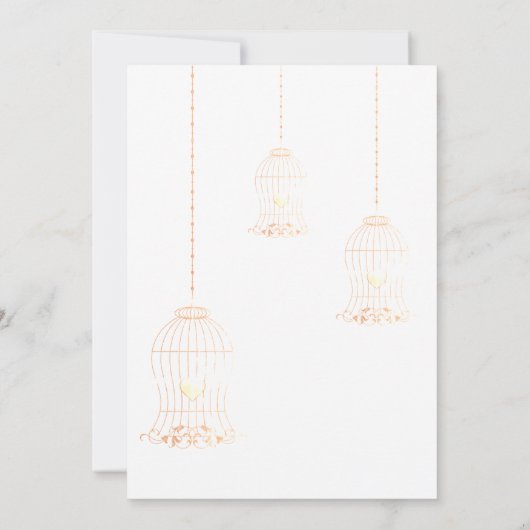 RUSTIC BIRDCAGE WHITE GOLD CHALKBOARD WEDING KAART (Achterkant)