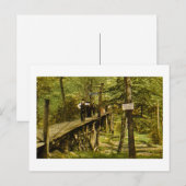 Rustic Bridge Eastman Springs Benton Harbor Mi Briefkaart (Voorkant / Achterkant)