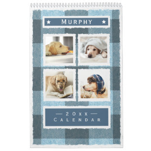Rustic Buffalo Pset Blue Dog Pet 2023 Kalender