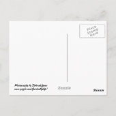 Rustic Bulkhead op Beach Briefkaart (Achterkant)