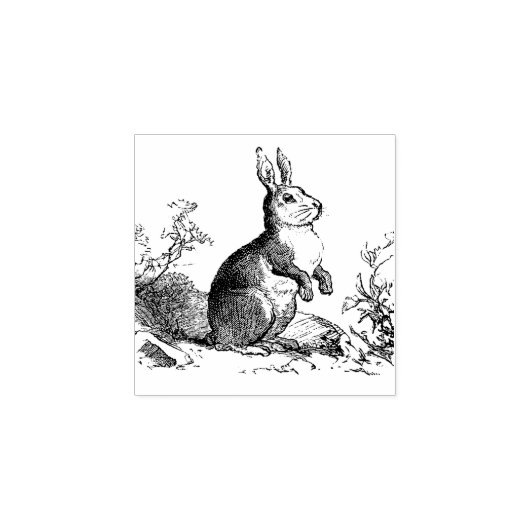 Rustic Bunny Rabbit  Rubber Stamp Rubberstempel (Afrduk)