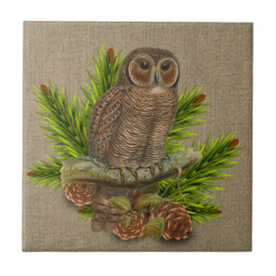Rustic Burlap met Owl en Pine Tree Branch Tegeltje