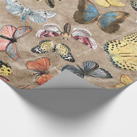 Rustic Butterfly Cadeaupapier (Hoek)