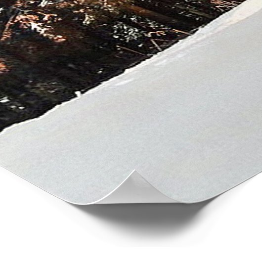 Rustic Cabin Snow Poster (Hoek)