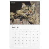 Rustic Cats & Kittens 2 Muurkalender - HAMbyWG Kalender (Mar 2027)