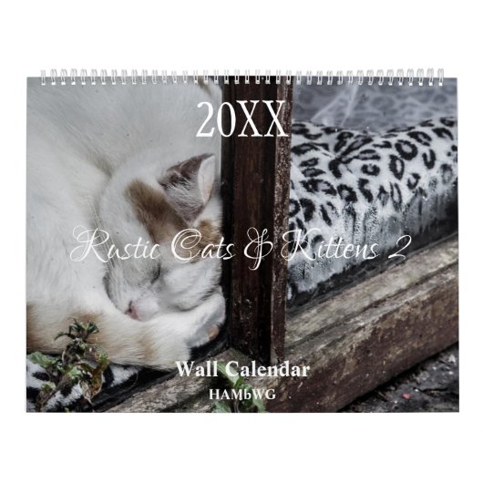 Rustic Cats & Kittens 2 Muurkalender - HAMbyWG Kalender (Hoes)