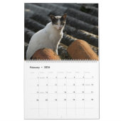Rustic Cats & Kittens 2 Wall Agenda - HAMbyWG Kalender (Feb 2026)