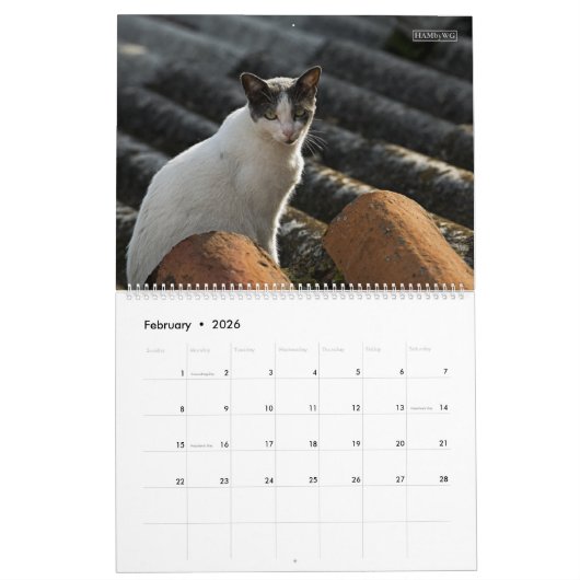 Rustic Cats & Kittens 2 Wall Agenda - HAMbyWG Kalender (Feb 2026)