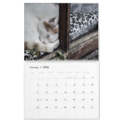 Rustic Cats & Kittens 2 Wall Agenda - HAMbyWG Kalender (Jan 2026)