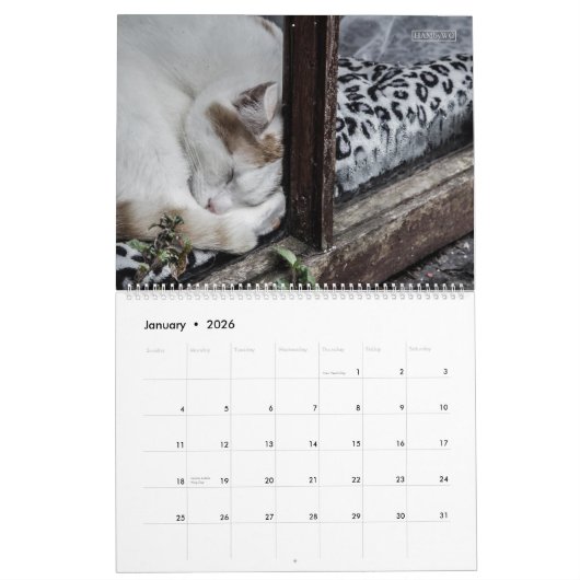 Rustic Cats & Kittens 2 Wall Agenda - HAMbyWG Kalender (Jan 2026)