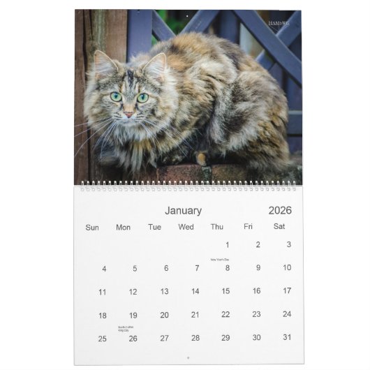 Rustic Cats & Kittens Calendar HAMbyWG Kalender (Jan 2026)