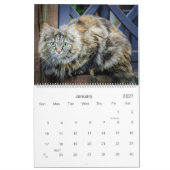 Rustic Cats & Kittens Kalender  HAMbyWG (Jan 2027)
