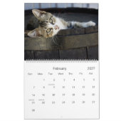 Rustic Cats & Kittens Kalender  HAMbyWG (Feb 2027)