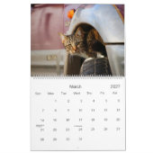 Rustic Cats & Kittens Kalender  HAMbyWG (Mar 2027)