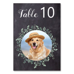 Rustic Chalkboard Dog Foto Pet Wedding Eucalyptus Kaart
