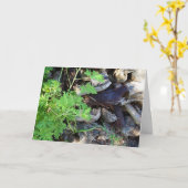 Rustic Citronella Leaf Portrait Card Kaart (Gele Bloem)