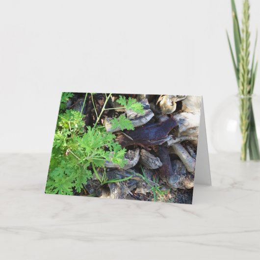 Rustic Citronella Leaf Portrait Card Kaart (Voorkant)