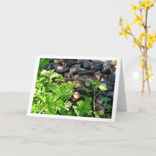 Rustic Citronella Leaf Portrait Kaart (Gele Bloem)