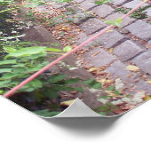 Rustic Cobblestone Garden Path Poster (Hoek)