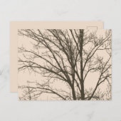 Rustic Cream Brown Tree Branches Briefkaart (Voorkant / Achterkant)