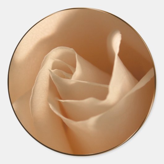 Rustic Cream Roos Wedding Envelope Seal Ronde Sticker (Voorkant)