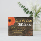 Rustic Daisy Barn Wood sparen de datum Briefkaarte Aankondigingskaart (Staand voorkant)