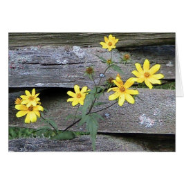 Rustic Daisy Kaart