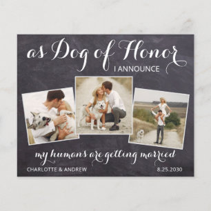 Rustic Dog of Honor Budget Wedding Save the Date